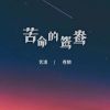 Download track 苦命的鸳鸯 (深情dj彭锐版伴奏)