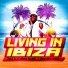 Download track Living In Ibiza (Jerry Delay And Marauder Instrumental Remix)