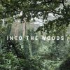 Download track Into The Woods