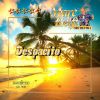 Download track El Despedida