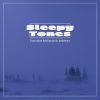 Download track Snowstorm Howling Arctic Ambience, Pt. 13