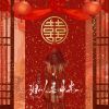 Download track 泪从喜中来 (伴奏)