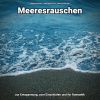 Download track Das Rauschen Der Wellen Zum Lernen