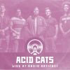 Download track Smack Em In The Face (Live At Radio Artifact)