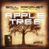 Download track Apple Tree