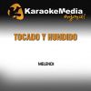 Download track Tocado Y Hundido (Karaoke Version) [In The Style Of Melendi]