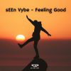 Download track Feeling Good (Extended Mix)