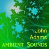 Download track Ambient Environmental Sounds