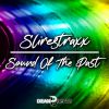 Download track Sound Of The Past