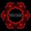 Download track Positron (Original Mix)