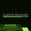 Download track Lunar Exploration (Suboctane & Antias Rmx)