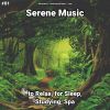 Download track Zen Music For Deep Sleep
