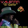 Download track Intro Gallo De Oro