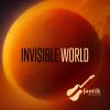 Download track Invisible World