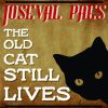 Download track The Old Cat Still Lives