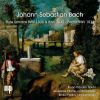 Download track Flute Sonata In E Major, BWV 1035 II. Allegro
