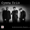 Download track Nigun (Arr. Cymes Trio For Violin, Double Bass & Piano)