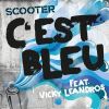 Download track Cest Bleu (Radio Edit)