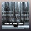 Download track Dashing Rain, Pt. 4