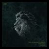 Download track Lion