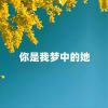 Download track 你是我梦中的她 (伴奏)