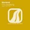 Download track Cloudwalking (Original Mix)