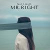 Download track Mr. Right