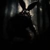 Download track I’m The Easter Bunny (Slowed)