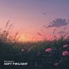 Download track Soft Twilight (With Rain)