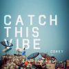 Download track Catch This Vibe (Darwin Remix)