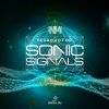 Download track Sonic Signals (Original)