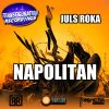 Download track Napolitan (Andy Bsk Remix)