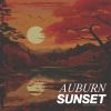 Download track Back With The Sunrise