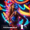 Download track Toca's Miracle (Anton Ishutin Remix)