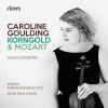 Download track Violin Concerto In D Major, Op. 35 I. Moderato Nobile