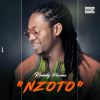 Download track Nzoto