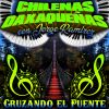 Download track Chilenazo De Mi Gente