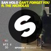 Download track Cant Forget You