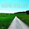 Download track Was Weiss Ich (Der Weg Ist Kein Ziel Mix)