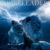 Download track Lion Thunder