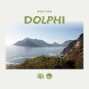 Download track Blue Dolphin