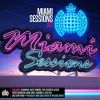 Download track When I See You (Alesso Mix)