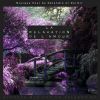 Download track Musique De Relaxation Celtique