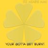 Download track Your Gotta Get Burnt (Electrified Mix)