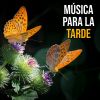 Download track Música Para La Tarde