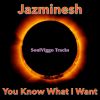 Download track You Know What I Want (Original Mix)