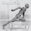 Download track Luminary (Radio Edit)