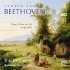 Download track Piano Trio In E-Flat Major, Op. 38 (From Septet Op. 20): V. Scherzo. Allegro Molto E Vivace
