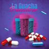 Download track El Gacha (Brasilero)