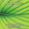 Download track Relaxing Music, Pt. 22